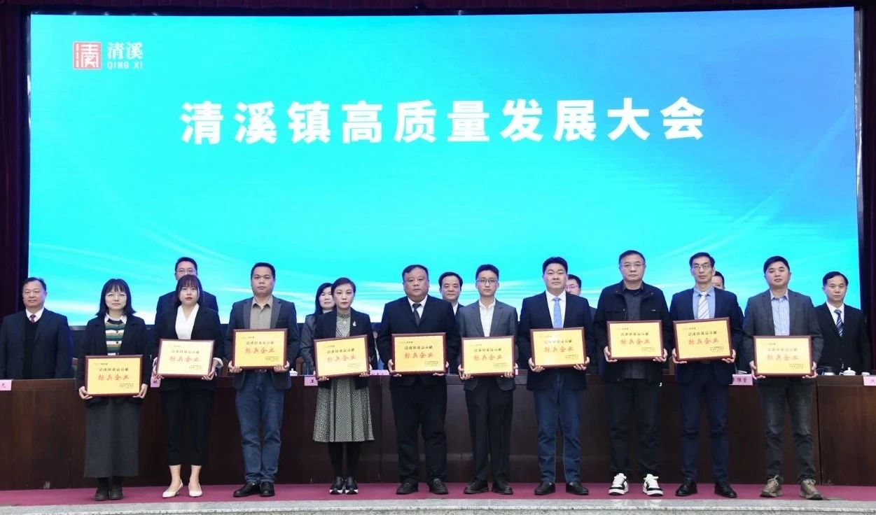 喜讯：9001cc金沙以诚为本科技荣获2024年度“清溪镇主营业务收入及效益贡献标兵企业”